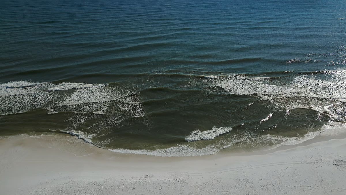 Stay Safe at the Beach: Rip Current Awareness Week | Pineapple Willy's