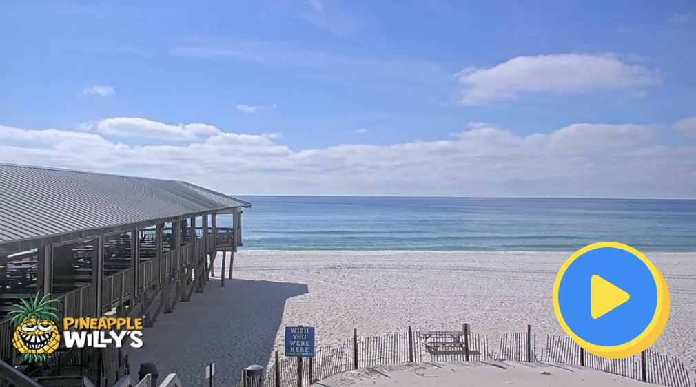 Beach Cams | Pineapple Willy's